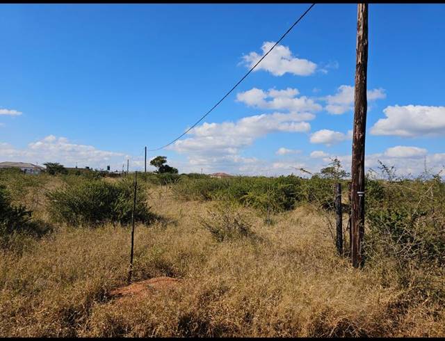 FARM FOR SALE IN RATHIDILI